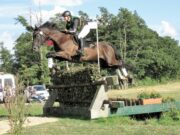 23. Internationale Vielseitigkeit Bad Harzburg vom 12.-14. August 2022