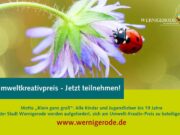 Wernigeröder Umwelt-Kreativ-Preis – Motto „Klein ganz groß“
