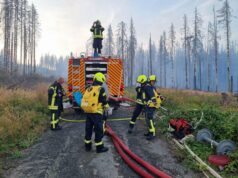 Waldbrand bei Schierke gelöscht – Großbrand unterhalb des Brockens