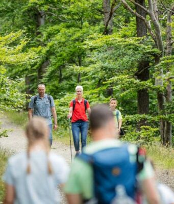 Kurzwanderung zu den Hochmooren im Harz und Wanderung am Weltkulturerbe Abbegraben