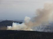 Erneuter Waldbrand bei Schierke – Brocken bis auf Widerruf nicht zugänglich