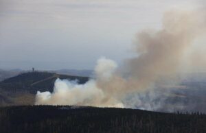 Erneuter Waldbrand bei Schierke – Brocken bis auf Widerruf nicht zugänglich