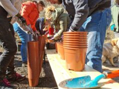 „MachMit!Wald“: mitmachen und einpflanzen | 12. November