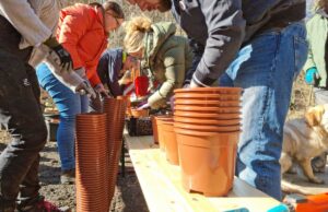 „MachMit!Wald“: mitmachen und einpflanzen | 12. November