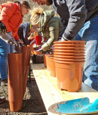 „MachMit!Wald“: mitmachen und einpflanzen | 12. November