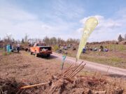 Einladung zu einer öffentlichen Pflanzaktion am 12.11.2022