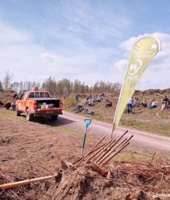 Einladung zu einer öffentlichen Pflanzaktion am 12.11.2022